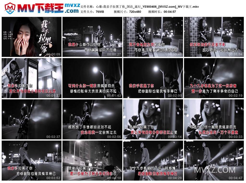 心歌-我亲手拉黑了你_国语_流行_YE900406